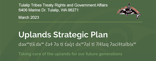 Natural Resources Tulalip Upland Strategic Plan. 