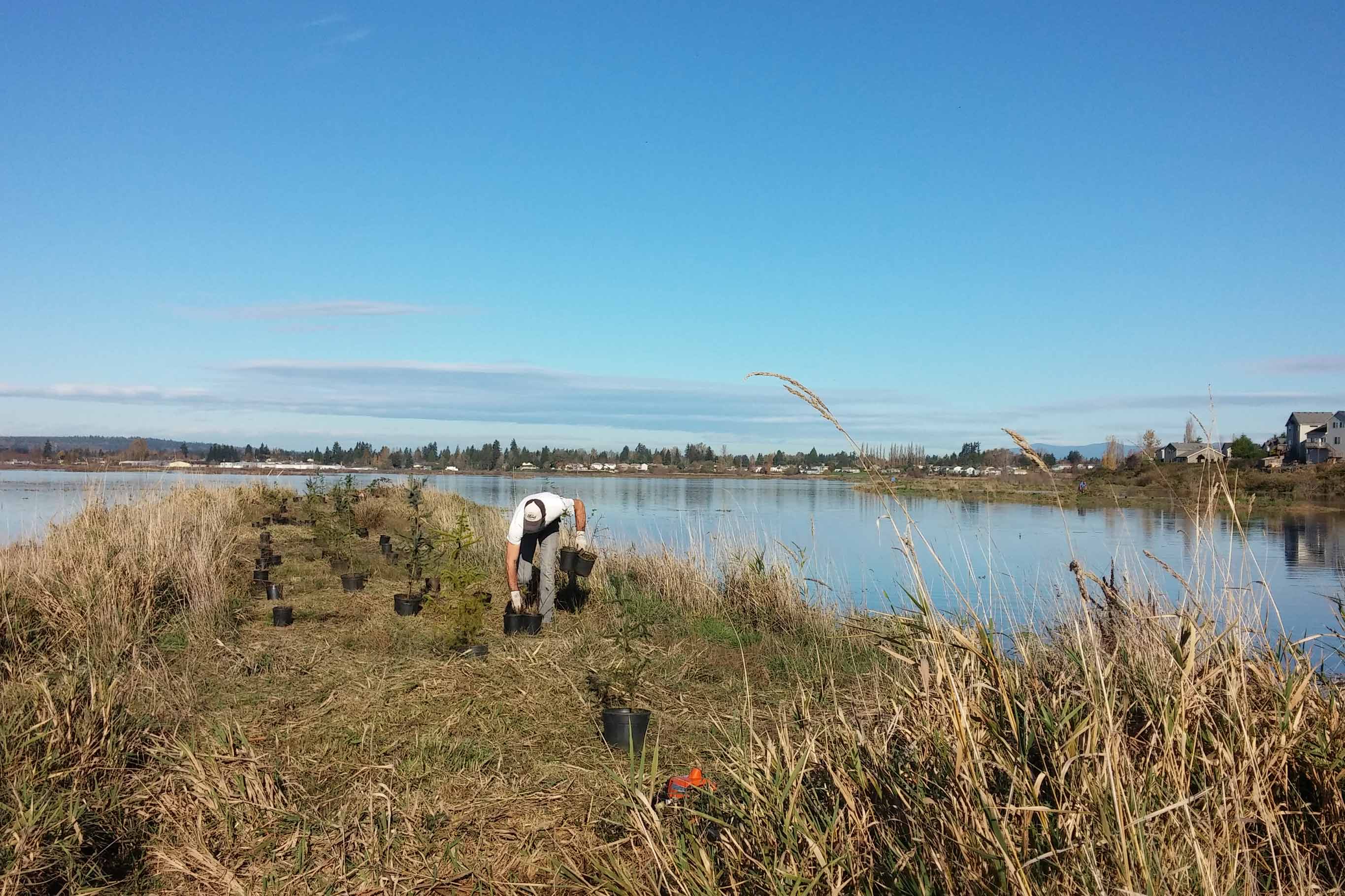 Tulalip Tribes Natural Resources Riparian Restoration slider image