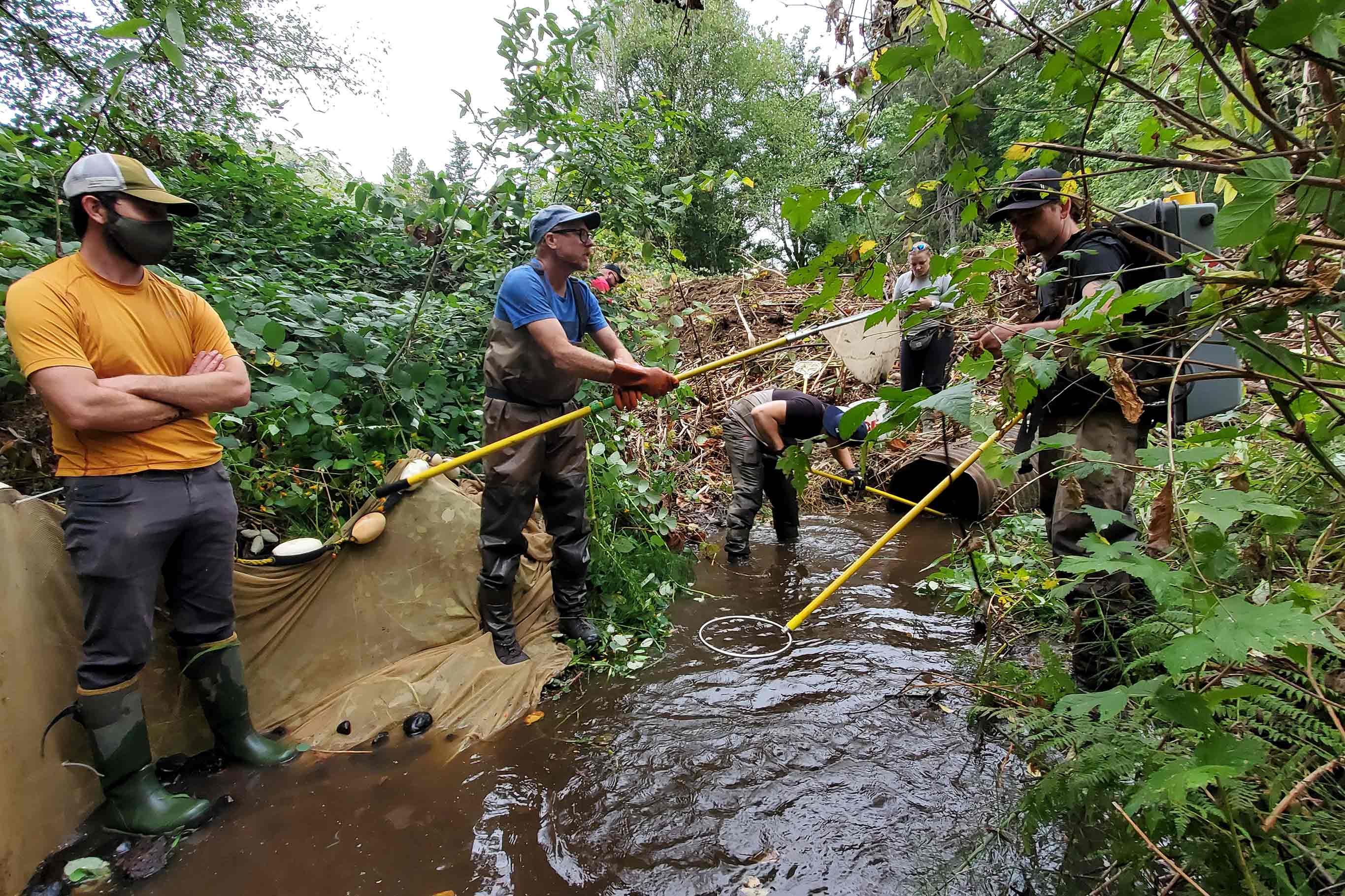 Restoration Acquisition And Stewardship Program slider image.