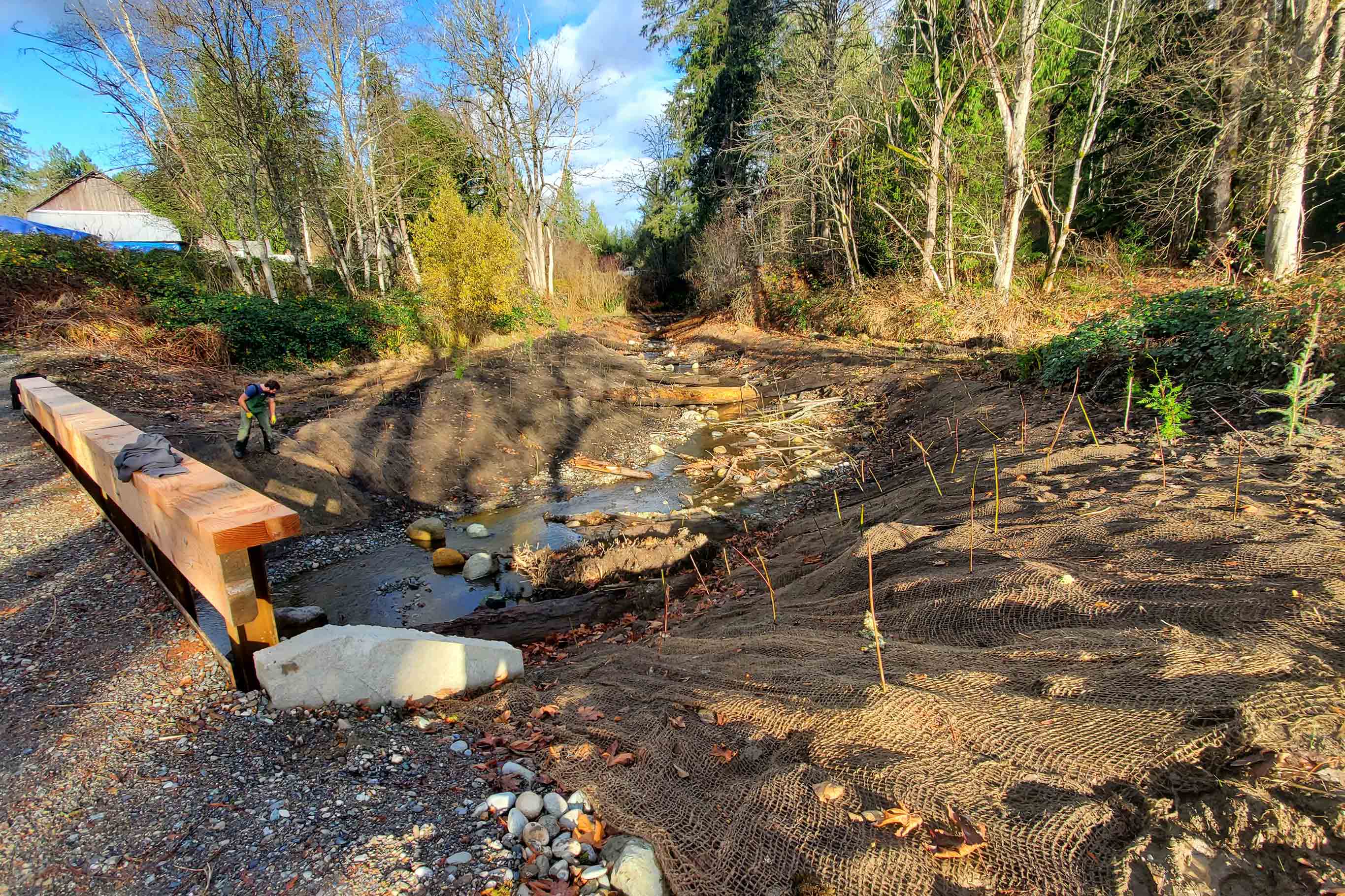 A newly constructed bridge spans over a restored creek area with the banks of it receiving saplings