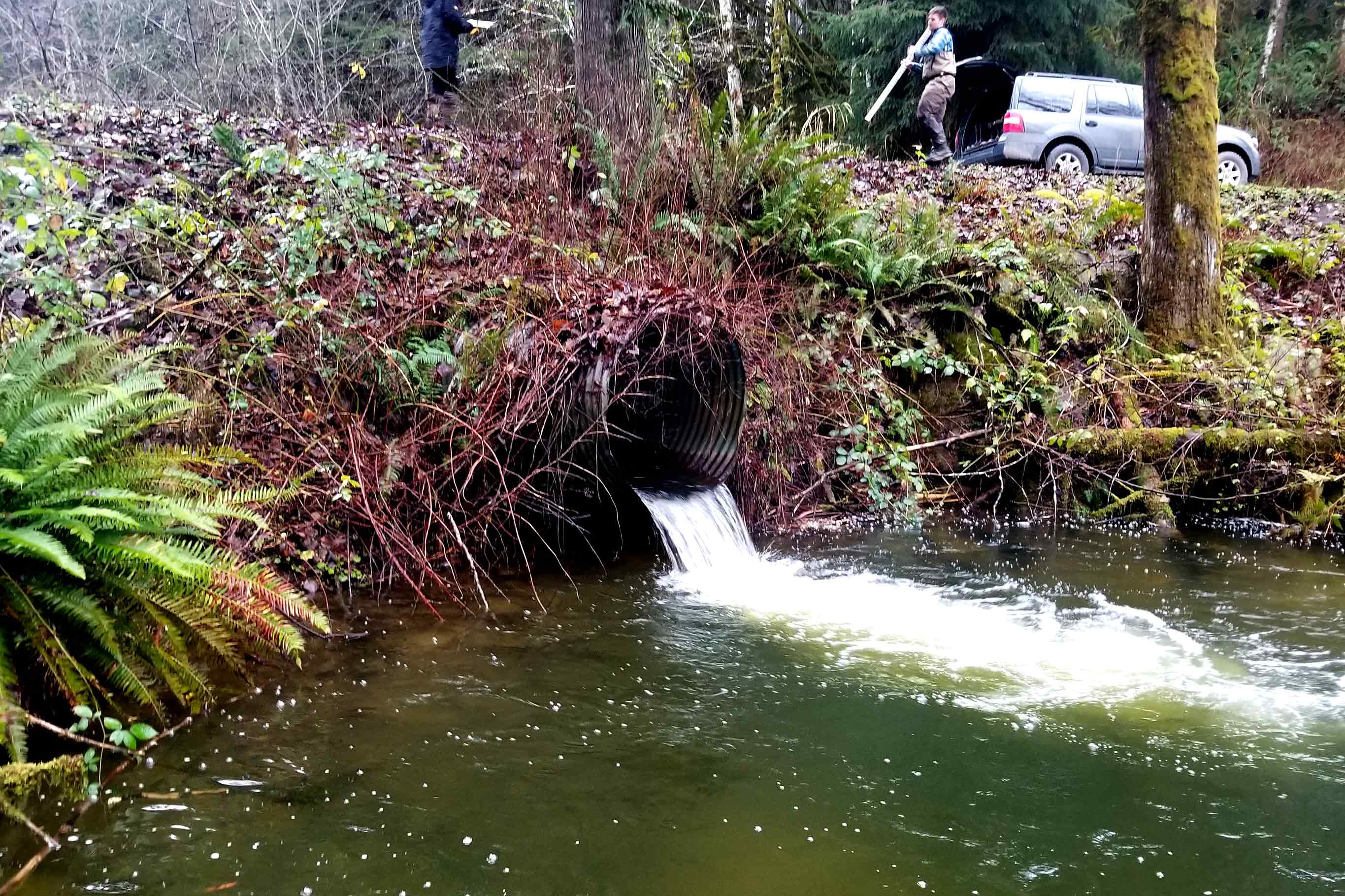 Fish Barrier Removal benefit fish and landowners through the removal or replacement of fish passage culverts and the installation of larger culverts or bridges