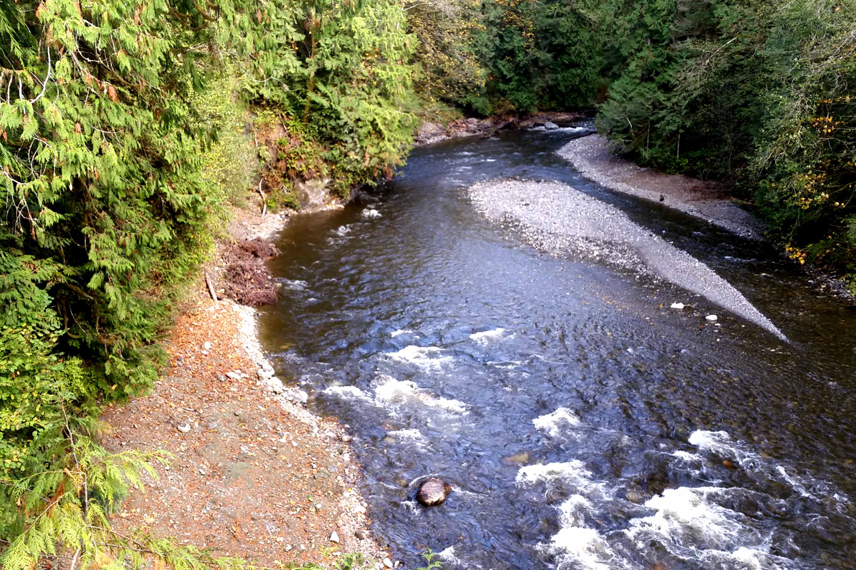 Tulalip Tribes Natural Resources Pilchuck River Dam slider image