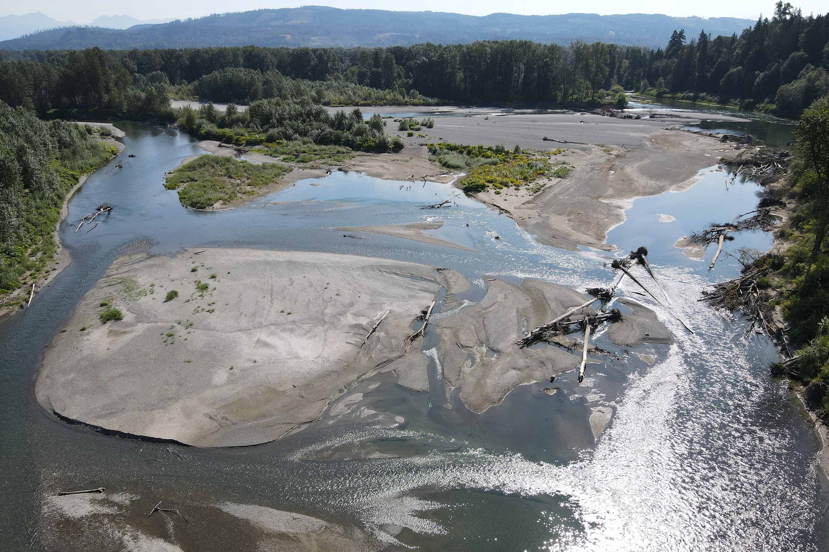 Tualco Valley aerial view rivers meeting, surging around a sandbar with beautiful mountains in the distance