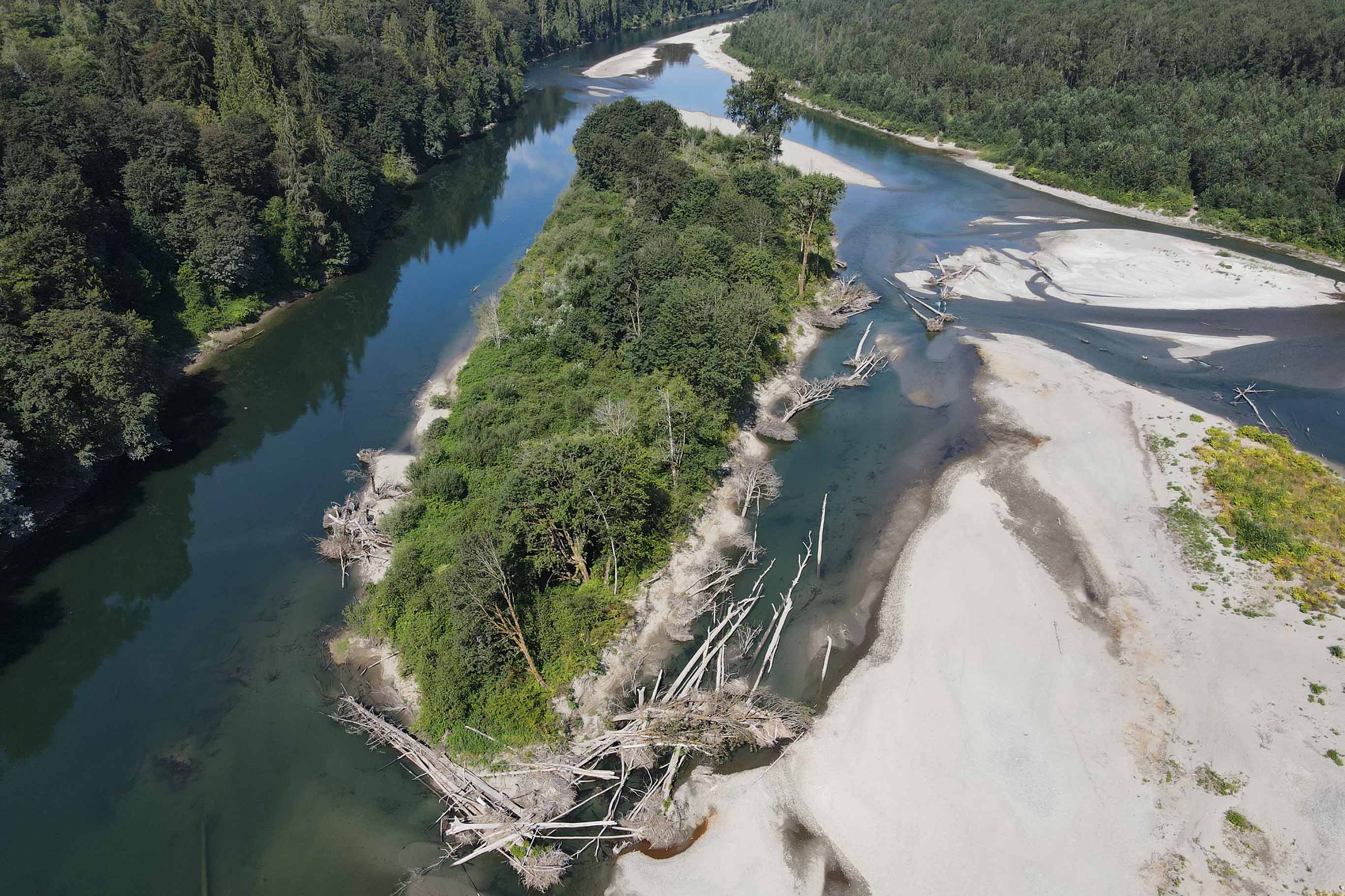 Aerial of the Skykomish and Snoqualmie Rivers flowing together seen above the shared sandy land and groupings of trees