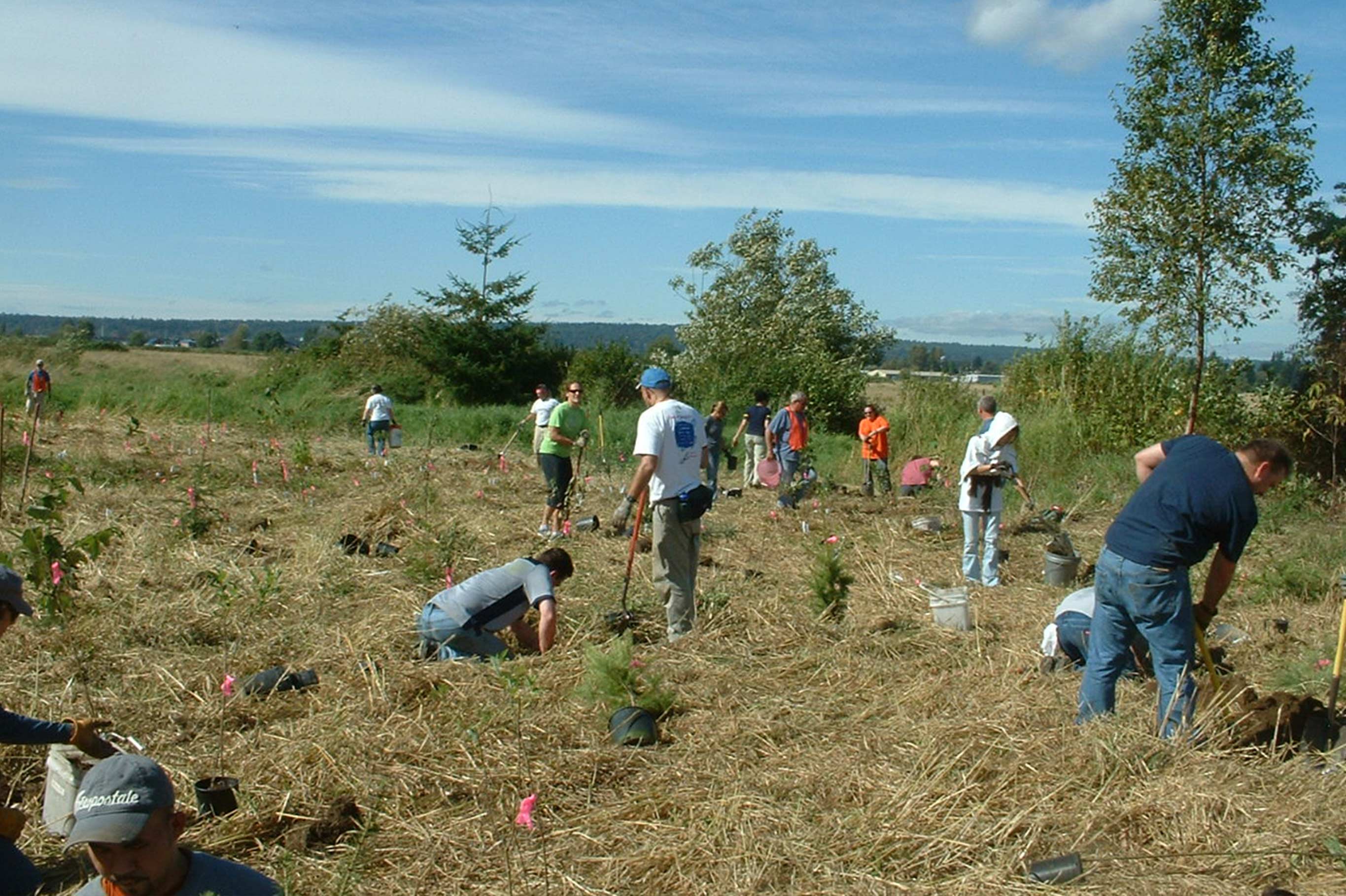 Tulalip Tribes Natural Resources Riparian Restoration slider image