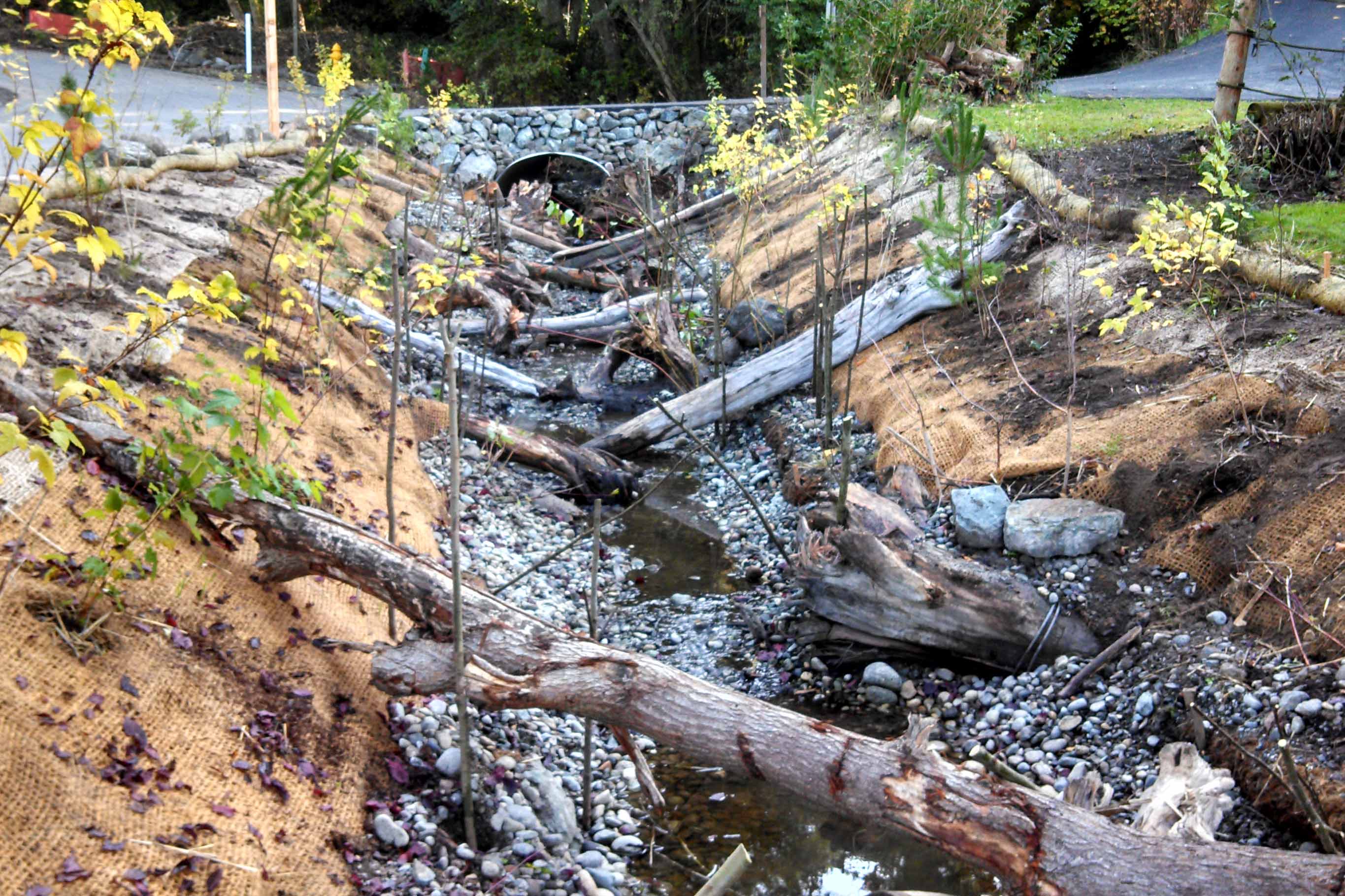 Tulalip Tribes Natural Resources Fish Barrier Removal slider image