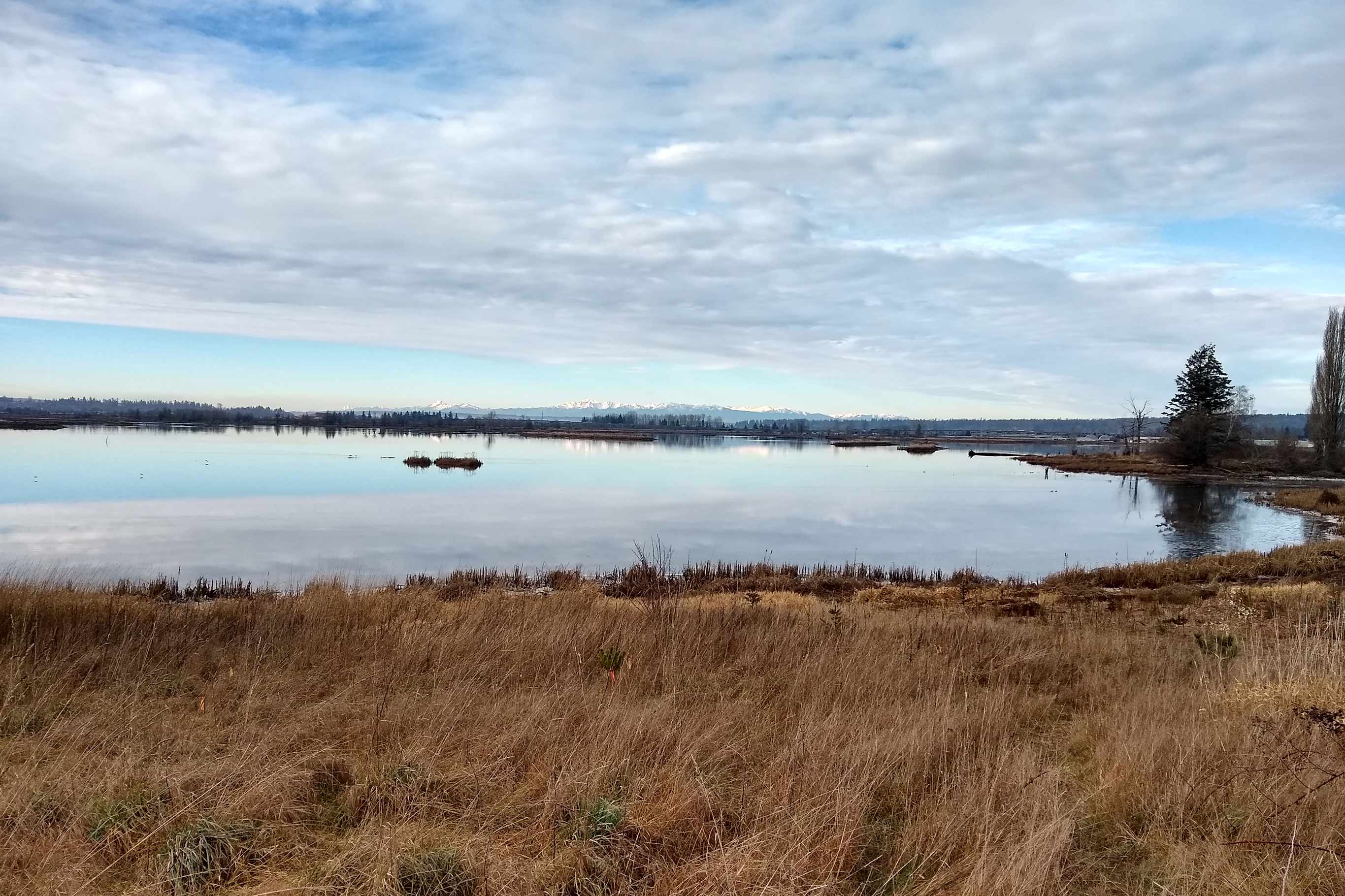 Tulalip Tribes Natural Resources Qwuloolt Restoration slider image