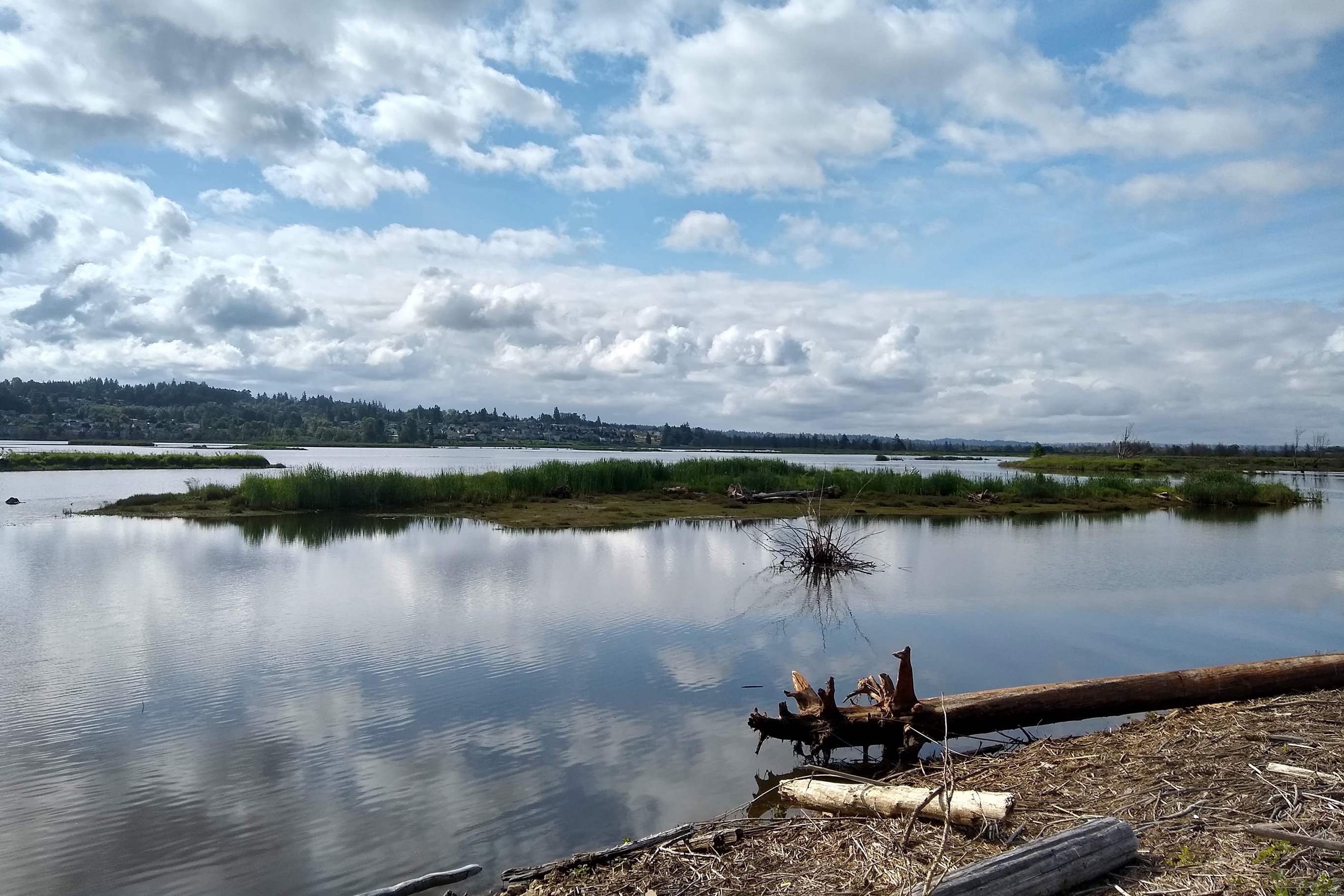 Tulalip Tribes Natural Resources Qwuloolt Restoration slider image