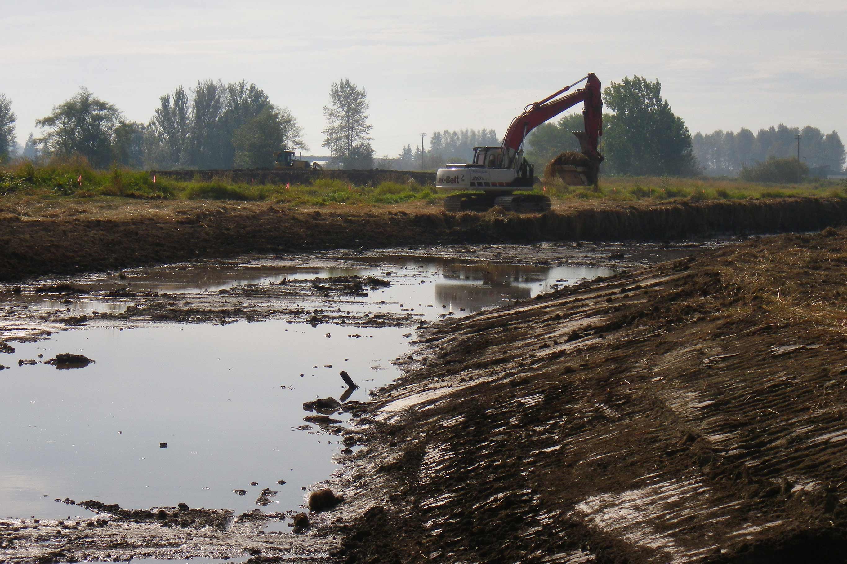 Tulalip Tribes Natural Resources Qwuloolt Restoration slider image