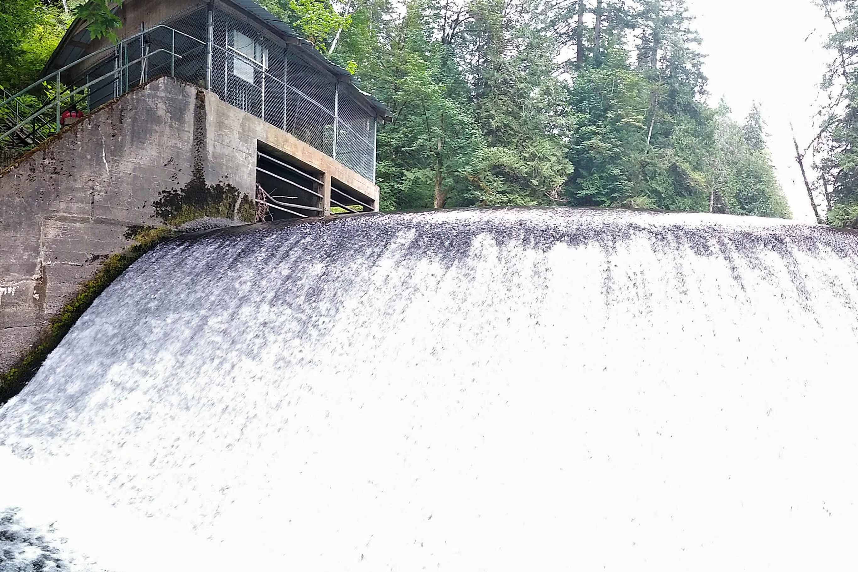 Tulalip Tribes Natural Resources Pilchuck River Dam slider image