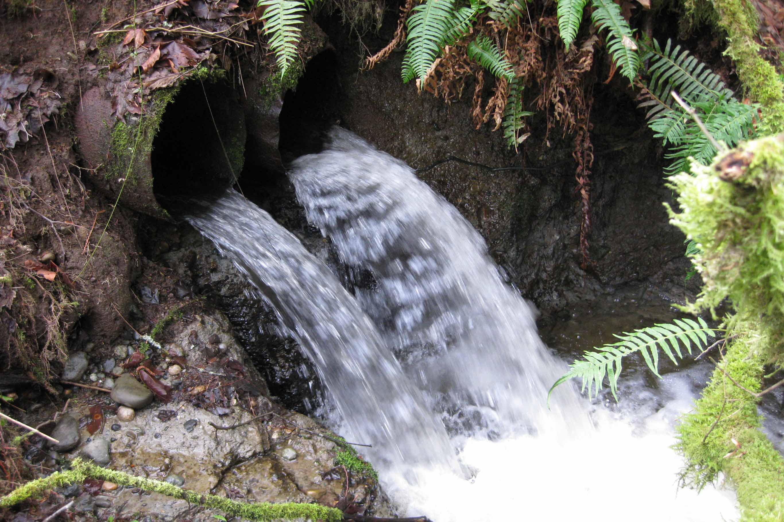 Tulalip Tribes Natural Resources Fish Barrier Removal slider image