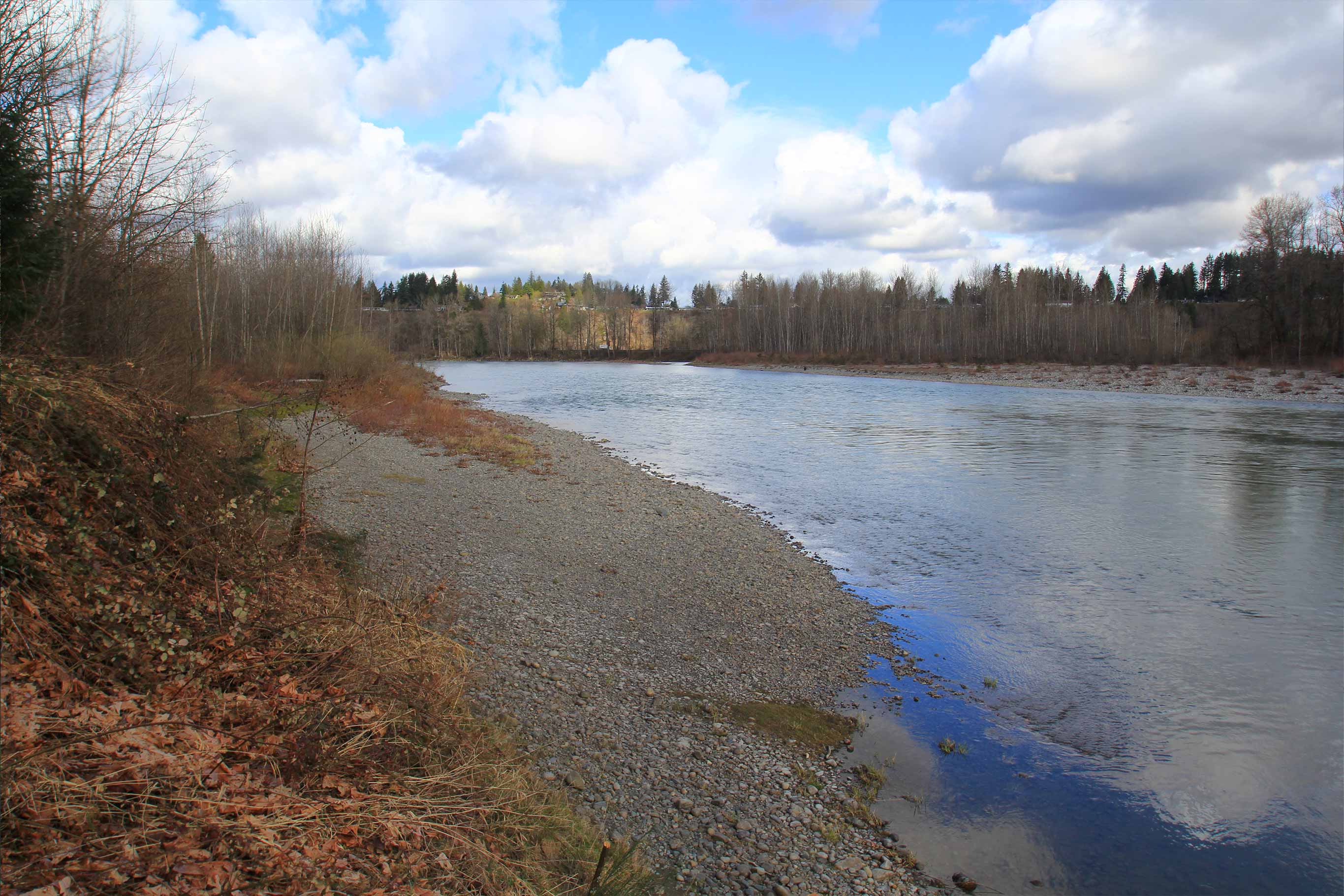 View from the rocky bank of the Snohomish River framed with fall leaves and brush along the outer shoreline