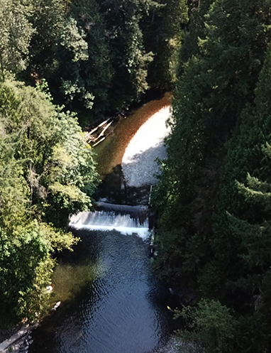 Tulalip Tribes Natural Resources Pilchuck River Dam slider image