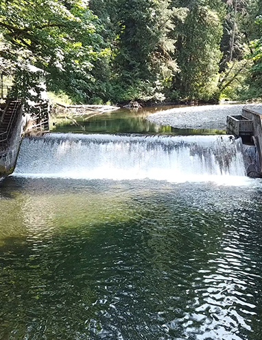 Tulalip Tribes Natural Resources Pilchuck River Dam slider image