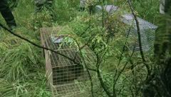 Beaver Relocation Project
