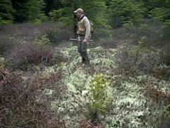 Natural Resources Bog Identification video 