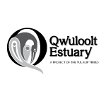 Logo of and link to Qwuloolt Estuary website