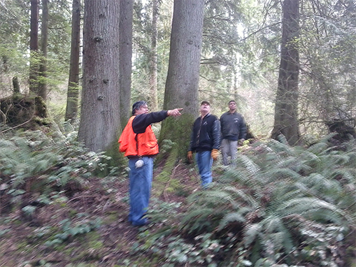 Tulalip Natural Resources Department image of forestry, three