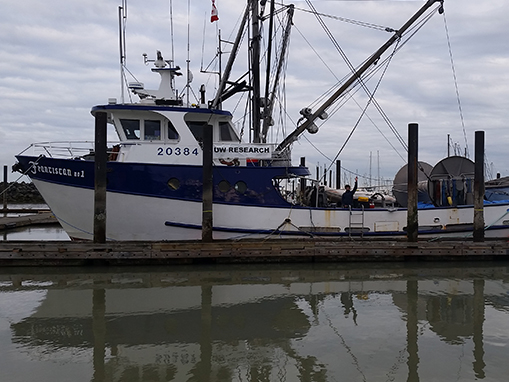 Tulalip Natural Resources Department image of a UW research boat in moorage