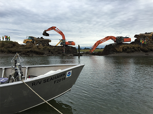 Tulalip Natural Resources Department gallery for Qwuloolt monitoring, image two