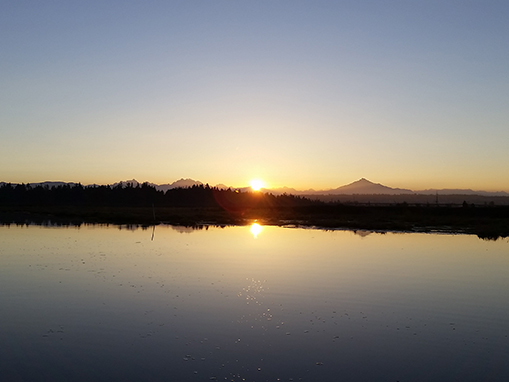 Tulalip Natural Resources Department gallery for the Snohomish Estuary, image four