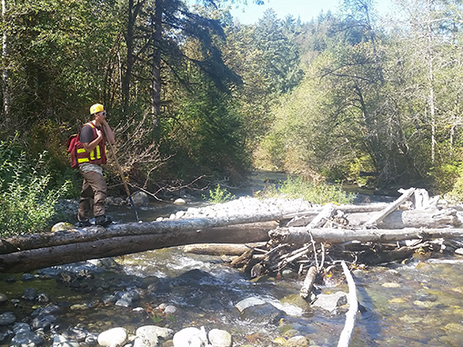 Tulalip Natural Resources Department gallery for spawner surveys, image two