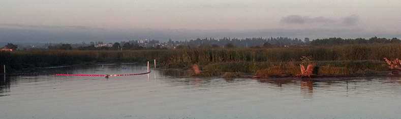 Tulalip Natural Resources Department image of habitat monitoring salmon trap on Snohomish River