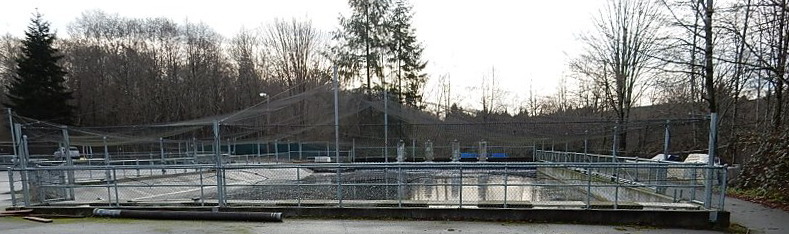 Tulalip Natural Resources image of view of salmon hatchery