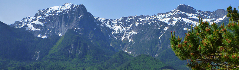 Tulalip Natural Resources Department image of alpine scene in the Cascade Mountains