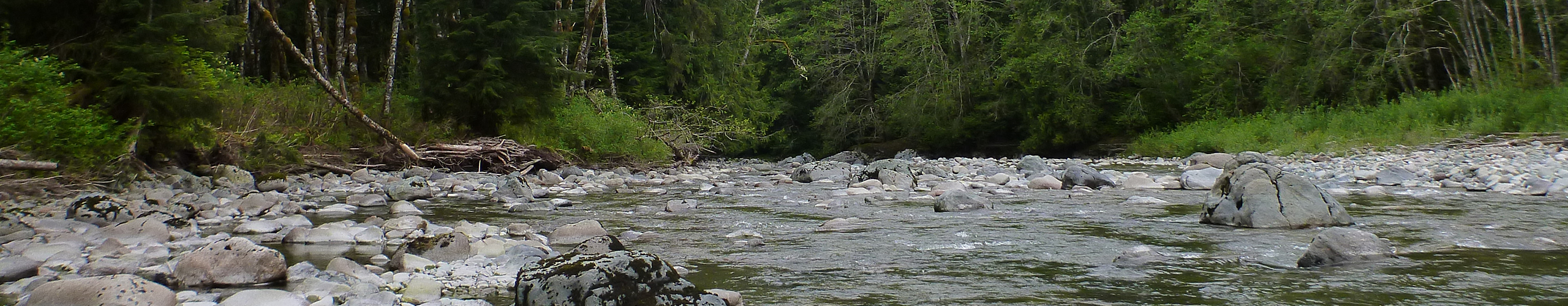 Tulalip Natural Resources Department image of Deer Creek