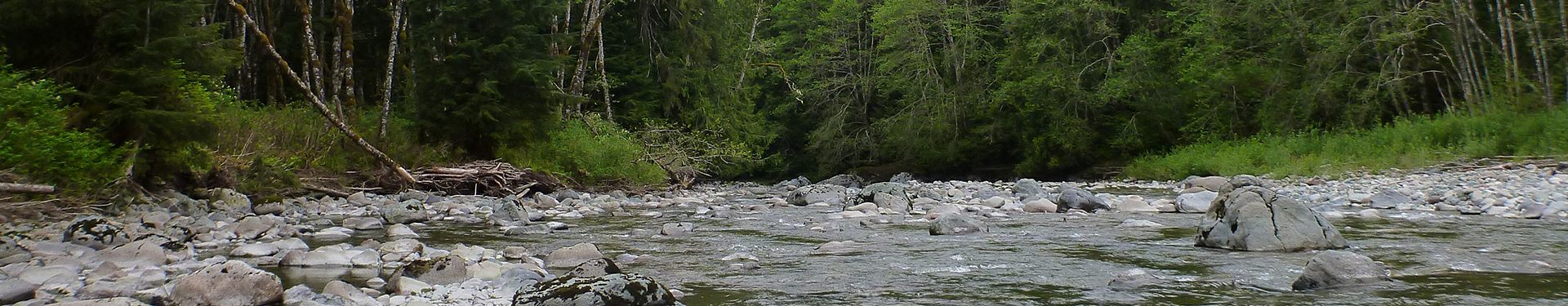 Tulalip Natural Resources Department image of Deer Creek