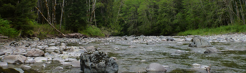 Tulalip Natural Resources Department image of Deer Creek