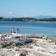 Natural Resources - Tulalip Tribes and Whidbey Camano Land Trust Collaborate to Preserve Livingston Bay on Camano Island