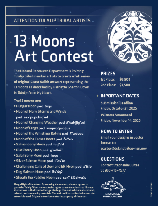 Moons Art Contest Flyer link image for pdf