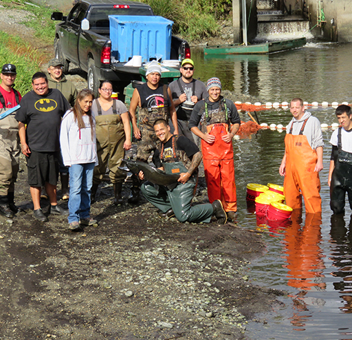 Tulalip Natural Resources fisheries stock assessment