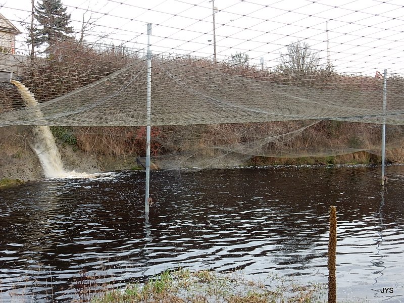 Bernie Kai-Kai Gobin Salmon Hatchery fish net pens outside in holding areas