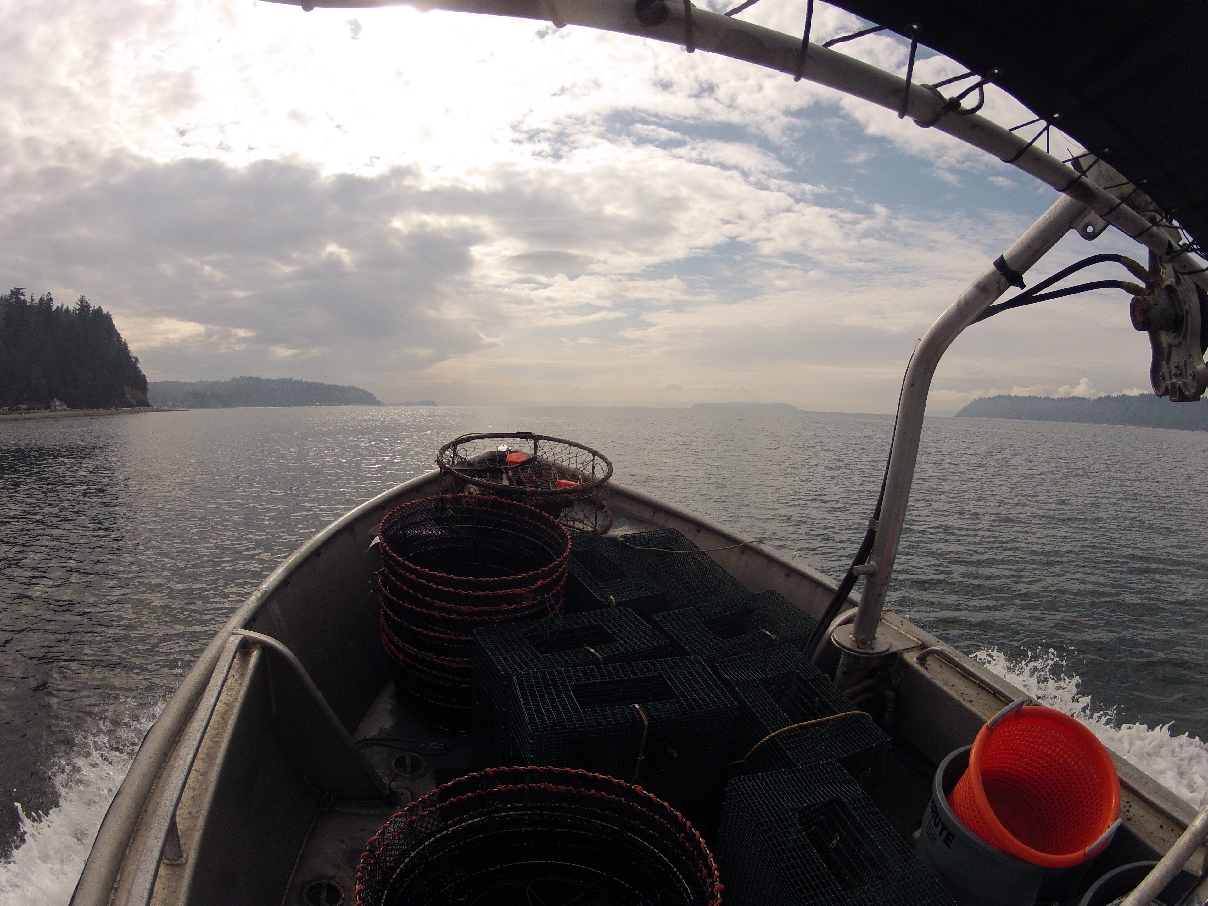 Heading out on a boat to place crab pots and traps in the bay for Tulalip Tribes Natural Resources shellfish program.