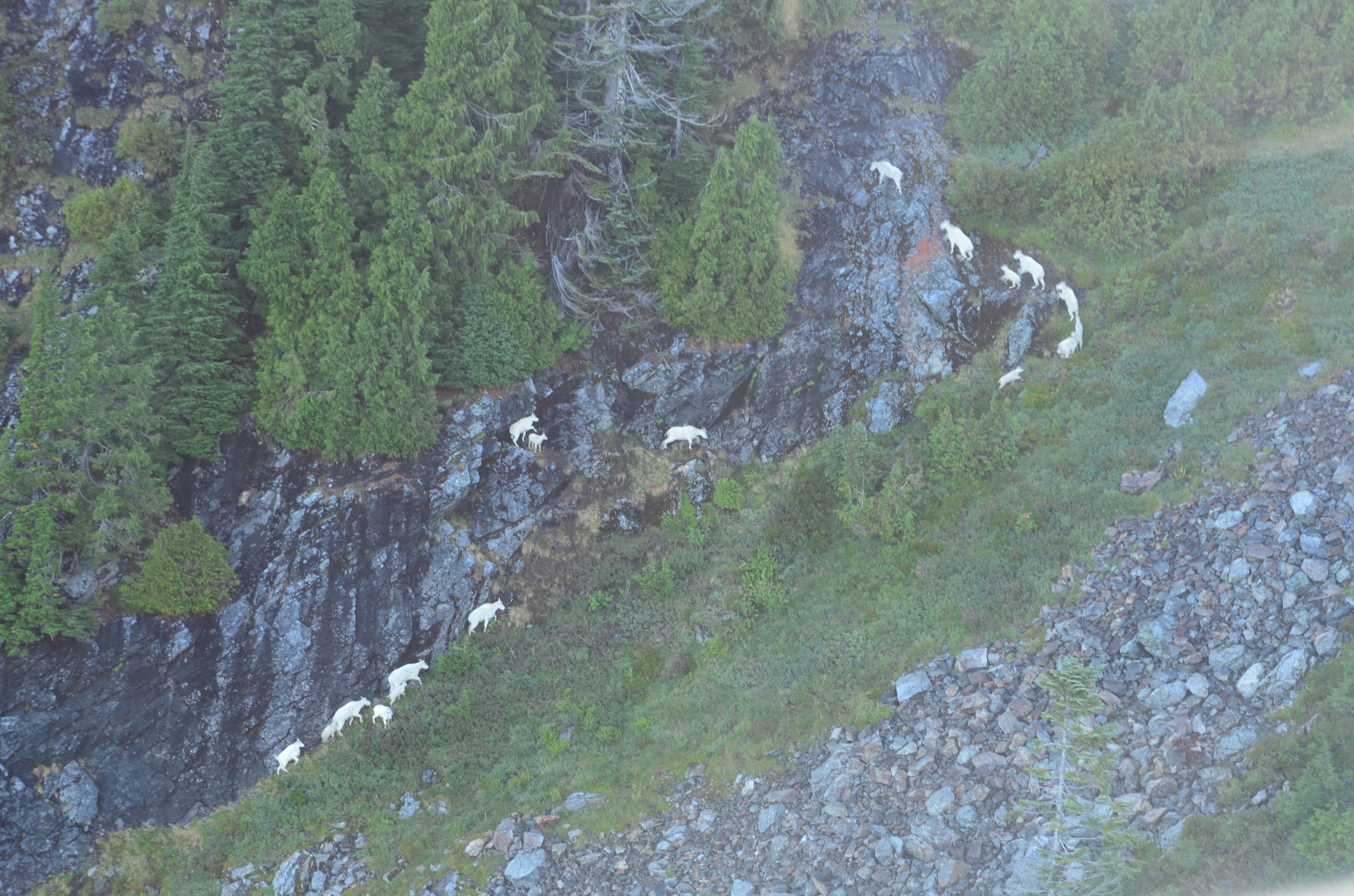 Tulalip Natural Resources Department Wildlife gallery image four