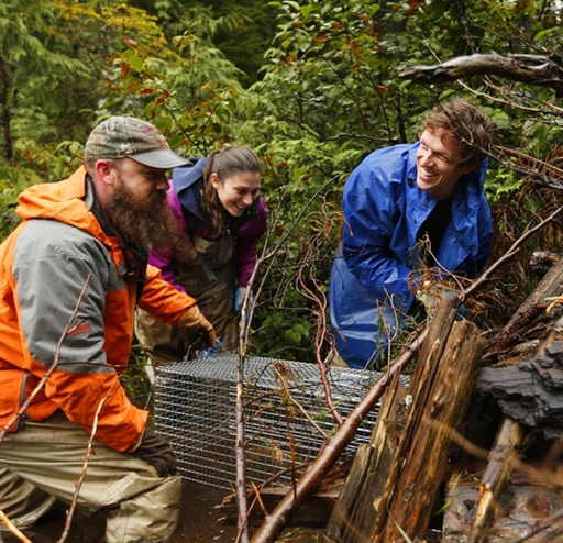 Tulalip Natural Resources Department Beaver gallery image three