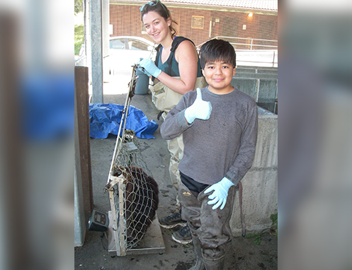 Tulalip Natural Resources Department Beaver gallery image nine