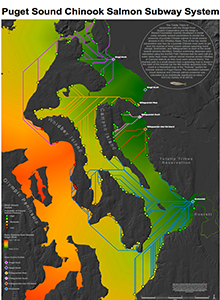 Puget Sound Chinook Salmon Subway System