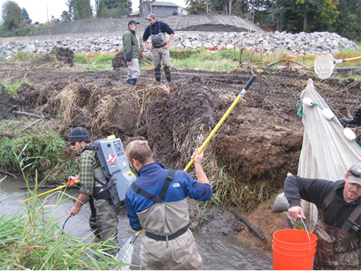 Tulalip Natural Resources Department gallery for Qwuloolt habitat restoration, image nine