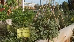 Sustaining our Culture Symposium: Harvesting Plants for Spiritual and Physical Health