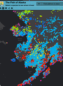 For the Fish: The Stories of Alaska's Fish Habitat Partnerships