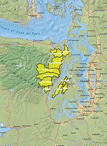 Restoring Hood Canal’s Critical Salmon Nurseries 