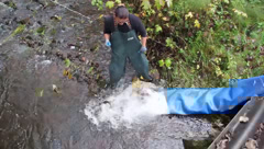 Slow Motion Coho Moving