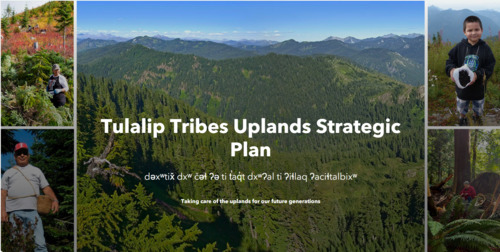 Natural Resources story map image for the Strategic Plan