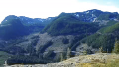 Timber, Fish & Wildlife