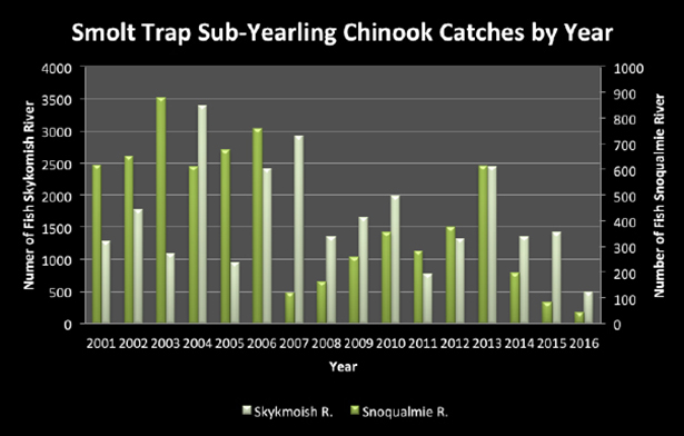 Tulalip Natural Resources Department image of smolt trap outmigration chart