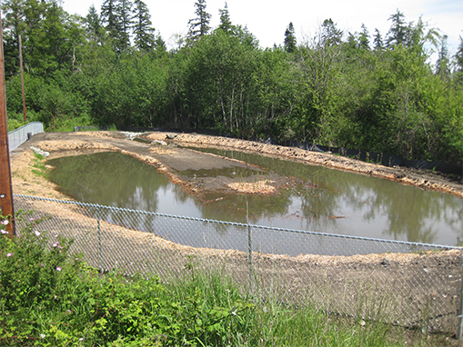 Preventing pollution is a critical part of Tulalip’s stormwater program